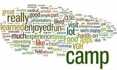 Camp Feedback WordCloud - All Text Feedback