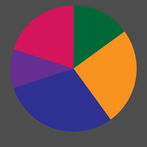 Health Survey gallery image
